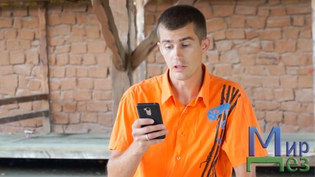 Гнезда клопов смотреть онлайн