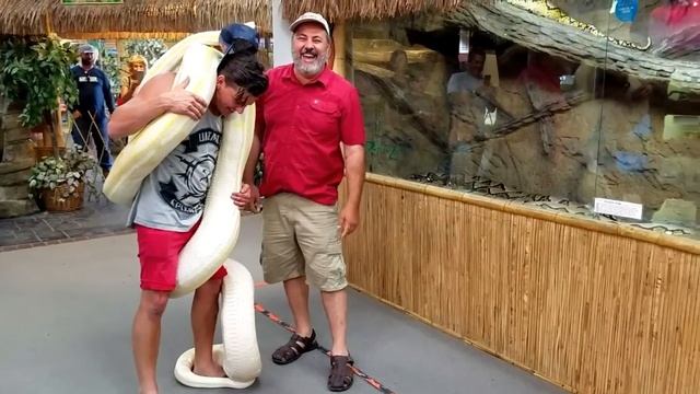 Mad Mike Drifts with GIANT pythons WOW смотреть онлайн