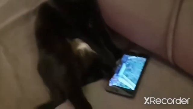 Луна смотрит ютюб смотреть онлайн