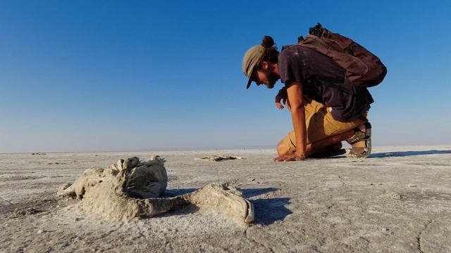 5,000 flamingos dead in Turkey's salt lake смотреть онлайн