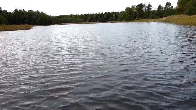 ПКР Хищник-2011 (Твичинг) смотреть онлайн