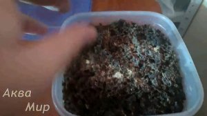 Что делать если гриндальский червь начал плохо пахнуть