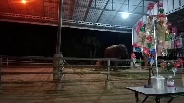 เชิญชวนเอฟซีต่อยอดกฐินบ้านตากลาง смотреть онлайн