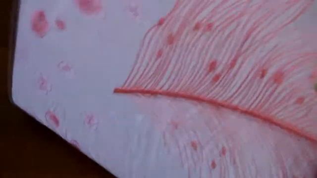 Постельное бельё из сатина - А ЛЮКС 161 смотреть онлайн