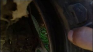 Как накачать колесо , бескамерку   на мопеде , скутере ?