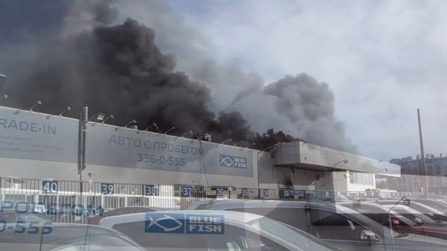 Пожар Рольф, Савушкина 103.... горит Рольф