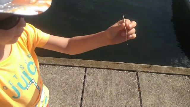 Рыбалка с ребёнком на Балтийском море. Купили удочку, ловим рыбку. смотреть онлайн