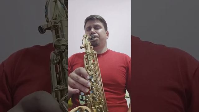Первый месяц на саксофоне смотреть онлайн