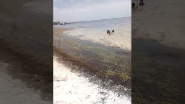 Playa "las perlas" смотреть онлайн