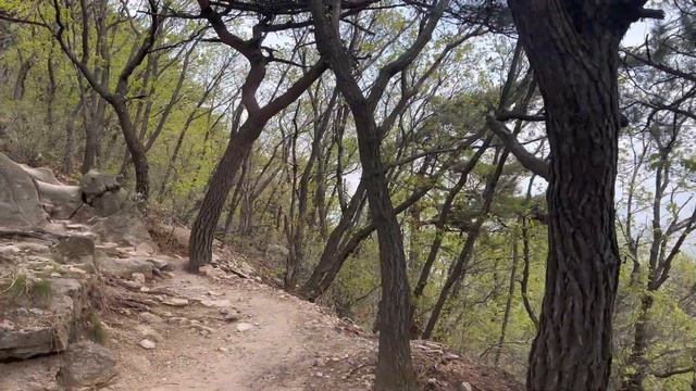[99 KOREALOG] Bukhansan National Park | Korea Subway [eng sub | kor sub] смотреть онлайн