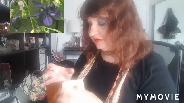 КАКИЕ МОИ АРОМАТЫ НРАВЯТСЯ МОЕМУ МУЖУ.АРОМАТЫ НА МНЕ,покупки мелочей смотреть онлайн