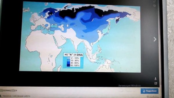 Генотек - генетический тест на происхождение. Кто я есть такой? 🤡 Genotek test