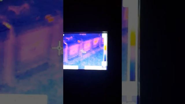 Просматриваю пчелок в зимний период через тепловизор. 12 февраля 2017г смотреть онлайн
