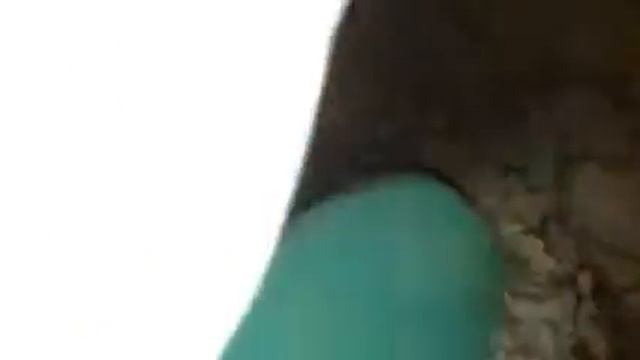 Экскурсия в Саблино!Саблинские пещеры) смотреть онлайн