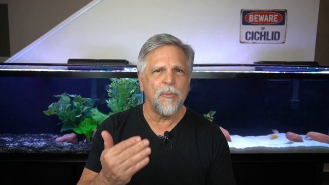 Can We Add Fish INSTANTLY to a NEW TANK? - [Fritz Zyme 7] - Did it Work? смотреть онлайн