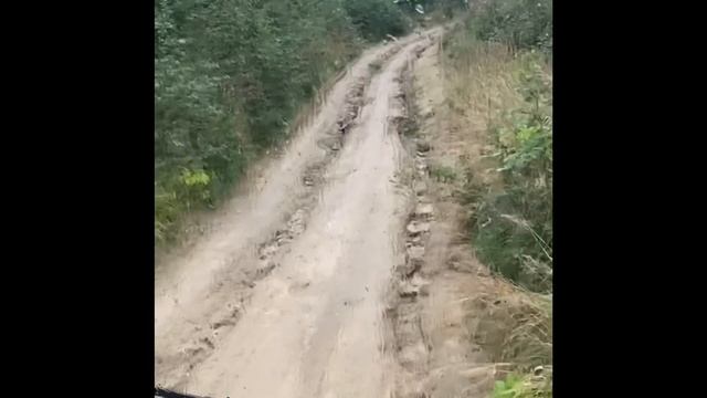 Тренинг инструктаж от Дмитрия Соколова MB