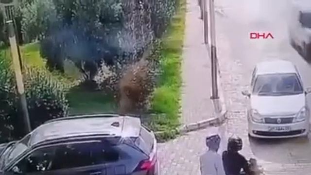 Українець на смерть задавив двох грабіжників у Туреччині смотреть онлайн