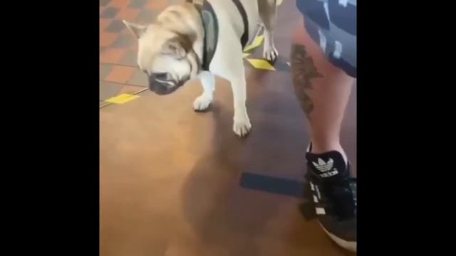 Мяч в лицо🤣 смотреть онлайн