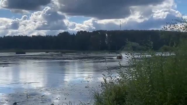 Катер-Болотоход смотреть онлайн