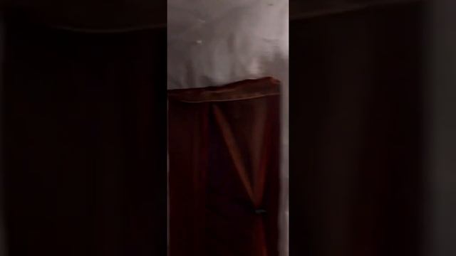 Кисло-молочный денёк на Базе