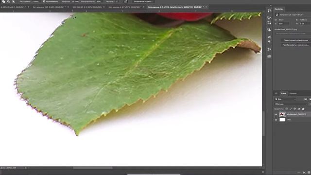 PHOTOSHOP 3- DARS // RASMLARNI BO`YASH VA KESIB OLISH // 0 DAN PHOTOSHOPNI TEZDA O`RGANISH смотреть онлайн