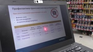 Симпарика