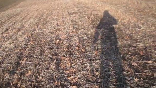 No-Till с ноля.Ошибки первого года по сое. смотреть онлайн