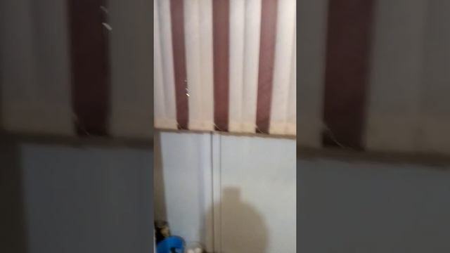 Светлогорская 11, 1 комн 3 200 000 смотреть онлайн