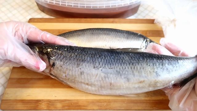 Засолка рыбы и икры в домашних условиях