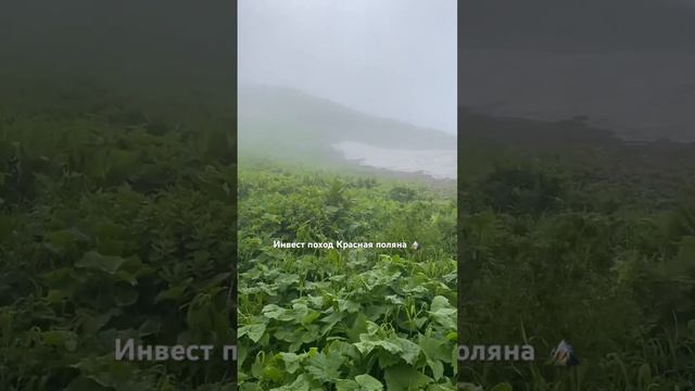 Инвест поход Красная поляна #gbig #сбер #сочи #биткоин #горы #поход смотреть онлайн