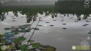 Фарм амура и немножко карпа на озере медвежье. Испытание для карповика. Русская рыбалка 4.