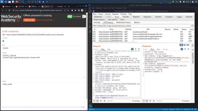 Authentication Vulnerabilities - Lab #10 Offline password cracking | Long Version смотреть онлайн