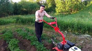 Окучивание картофеля. Мотоблок АГАТ.
