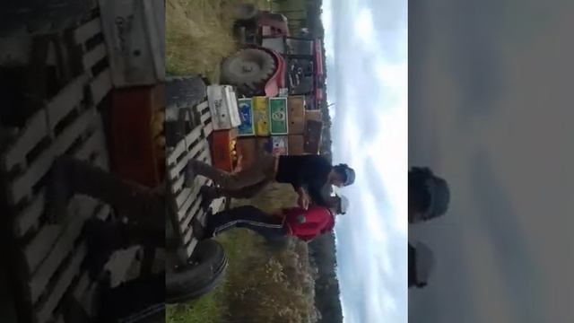 Арабский сад смотреть онлайн