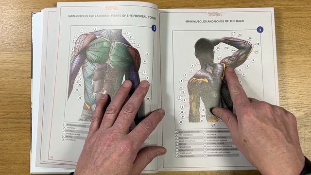Anatomy for Sculptors – Understanding the anatomy of the Human Body смотреть онлайн