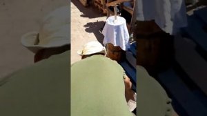 Производство домашнего кумыса из кобыльего молока