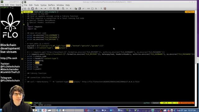 [BLOCKCHAIN] [FLO] programming смотреть онлайн