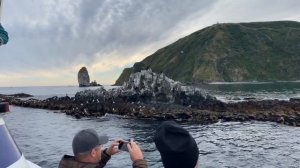 Камчатский краб Морская рыбалка на Камчатке