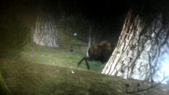 Stalker танец лося смотреть онлайн