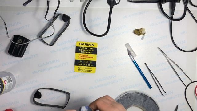 ДомашниеВундеркинды