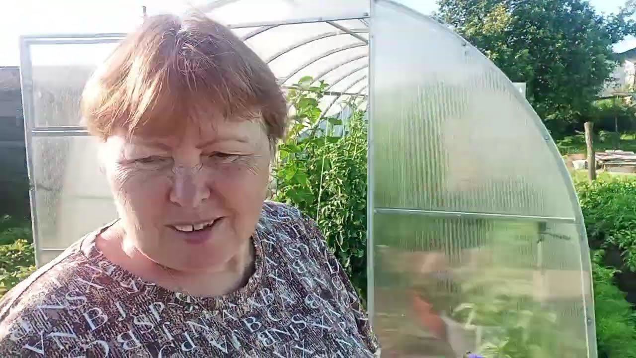 Будни пенсионерки в деревне. Хроника дня. смотреть онлайн