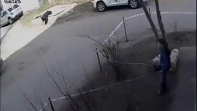 2014-04-15. Омск. Оборвали ленту смотреть онлайн