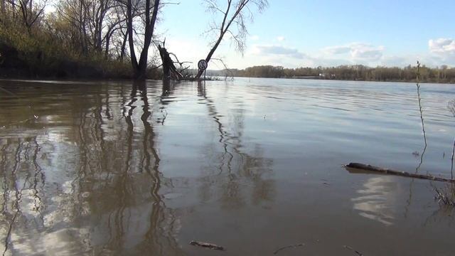 рыбалка на Томи 2021 крупная плотва чебак смотреть онлайн