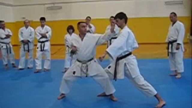 Seipai Bunkai