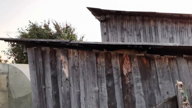 ВОРУЮТ ВСЁ! Хоть вообще не сади. Горькая правда о жизни в деревне. смотреть онлайн