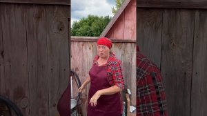 Люсин труд | Андрей Лунёв