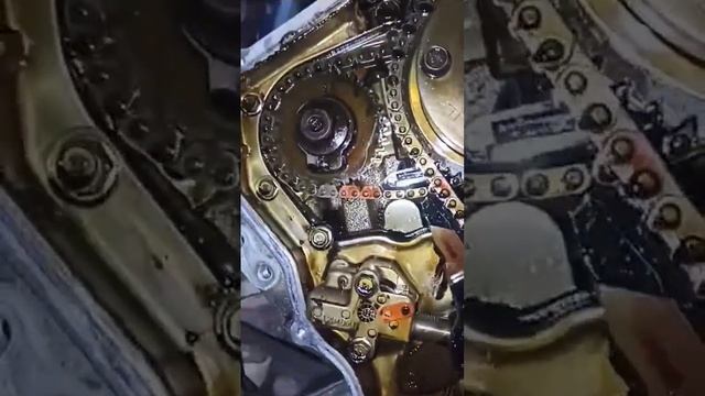 развалился фазорегулятор, вот что бывает если ездить без масла и не менять его три года.