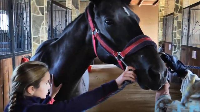 Ферма (конный клуб) "Три грации" смотреть онлайн