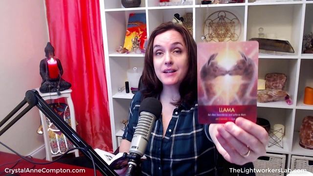 3 Card Oracle Card Reading (Answers Apply Whenever You Watch!) смотреть онлайн