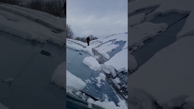 главный минус блочных теплиц смотреть онлайн